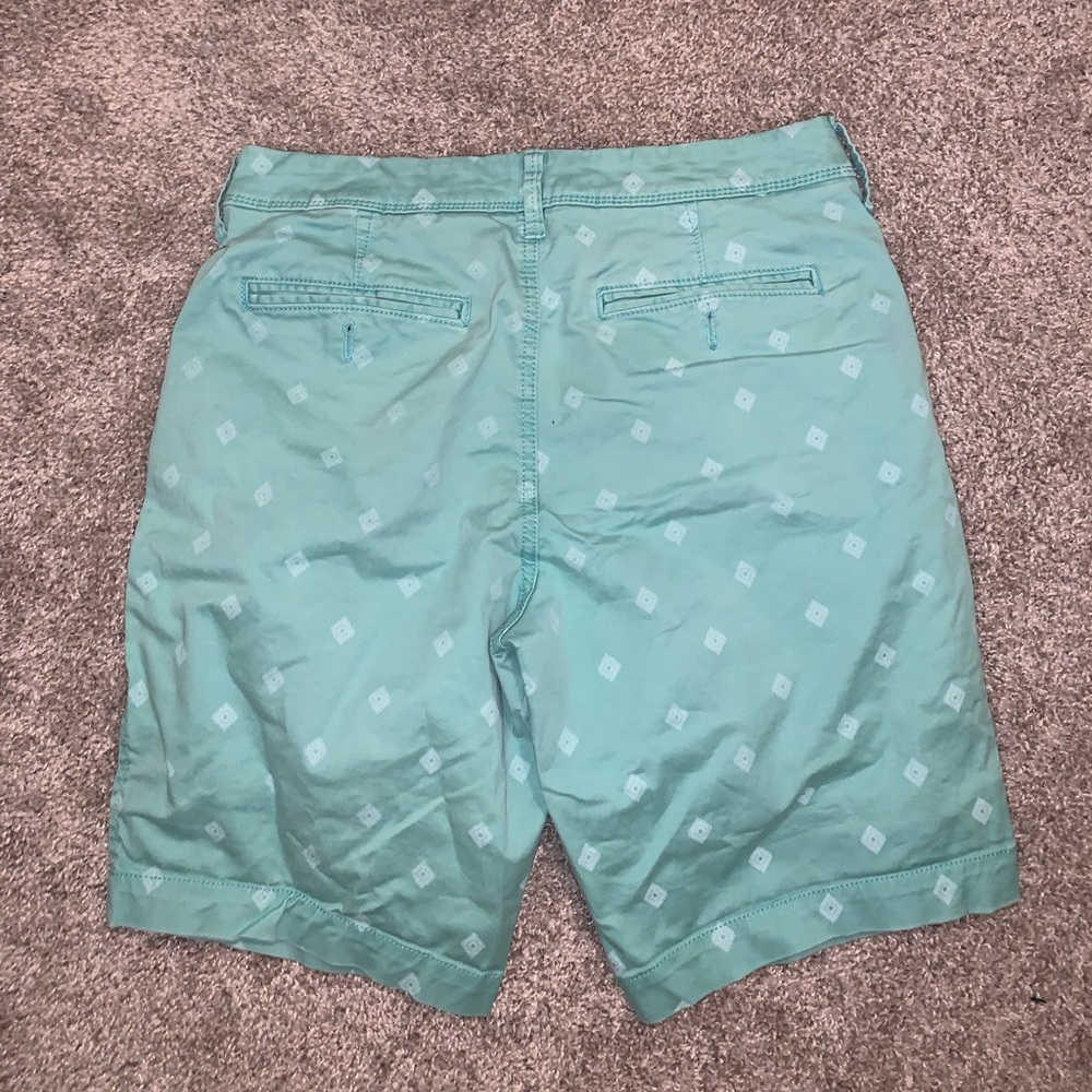Aeropostale Light Green & White Shorts size W 29 - Picture 7 of 7